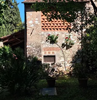 Foto annuncio 5