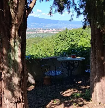 Foto annuncio 6