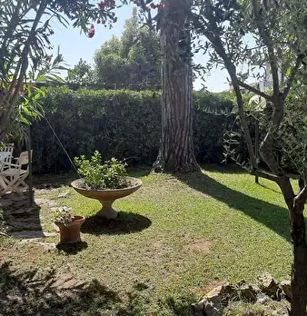 Foto annuncio 13