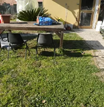Foto annuncio 35