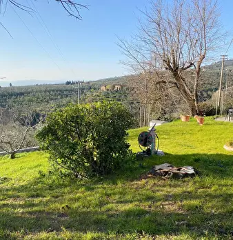 Foto annuncio 28