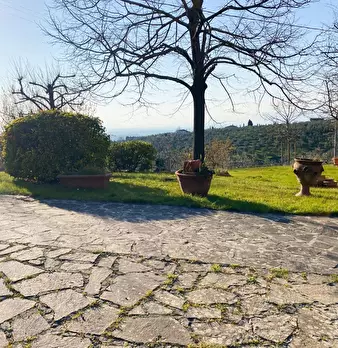 Foto annuncio 23