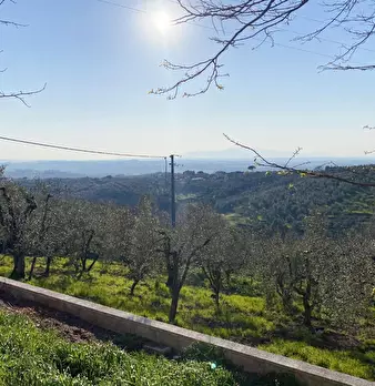 Foto annuncio 26