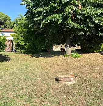Foto annuncio 33