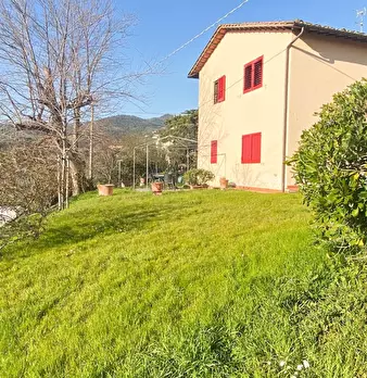 Foto annuncio 4
