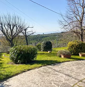 Foto annuncio 5