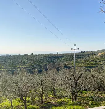 Foto annuncio 27