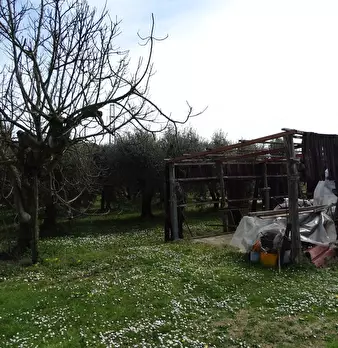 Foto annuncio 21