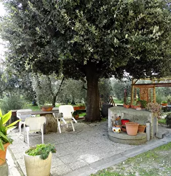 Foto annuncio 23