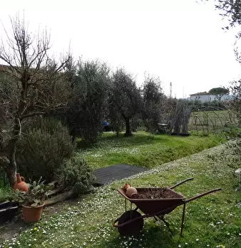 Foto annuncio 22