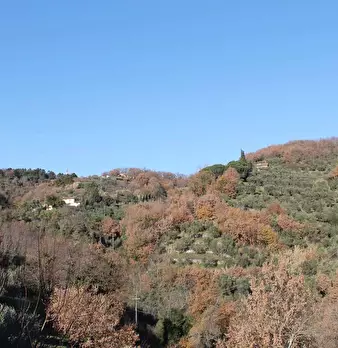 Foto annuncio 4