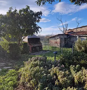 Foto annuncio 5