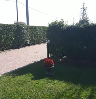 Foto annuncio 21