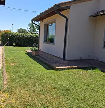 Foto annuncio 5