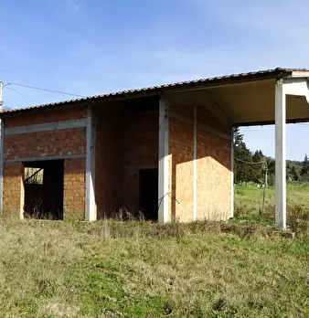 Foto annuncio 8