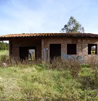 Foto annuncio 15