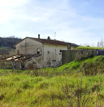 Foto annuncio 26