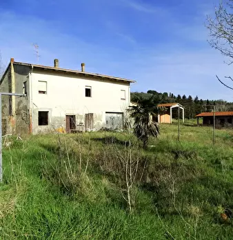 Foto annuncio 5