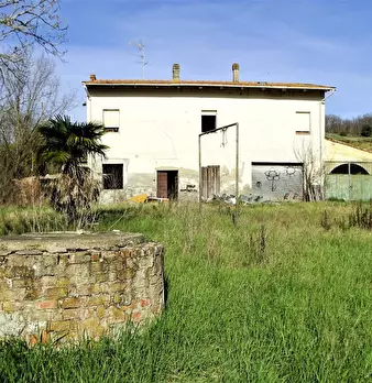 Foto annuncio 18