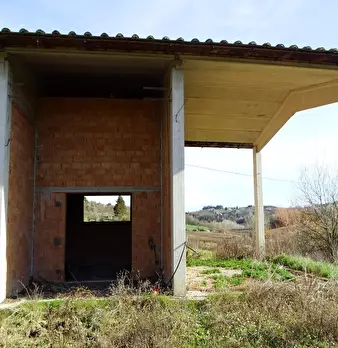 Foto annuncio 11