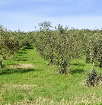 Foto annuncio 2