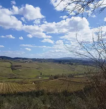Foto annuncio 2