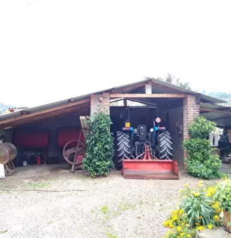Foto annuncio 17