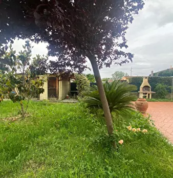 Foto annuncio 15