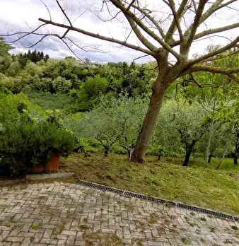 Foto annuncio 8
