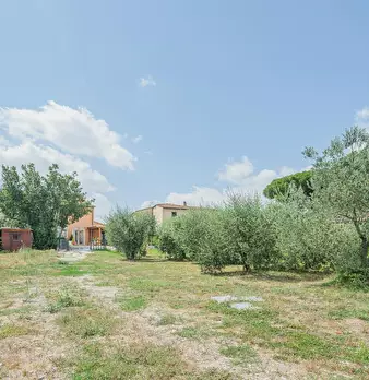 Foto annuncio 10