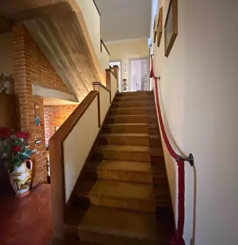 Foto annuncio 24