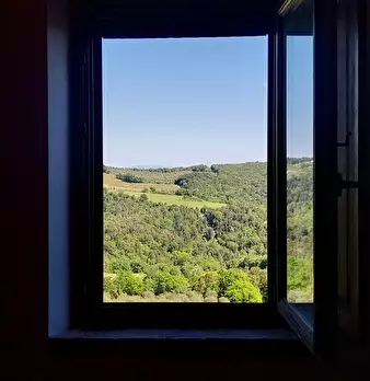 Foto annuncio 50