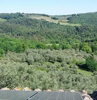 Foto annuncio 75