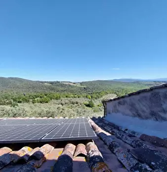 Foto annuncio 8