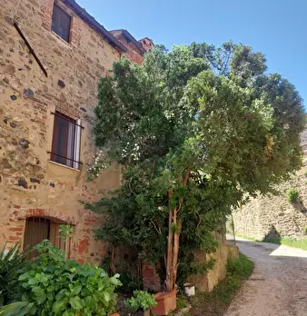 Foto annuncio 3