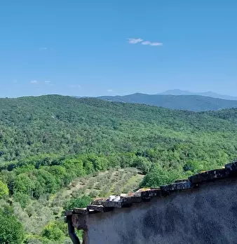 Foto annuncio 48