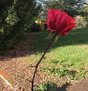 Foto annuncio 27