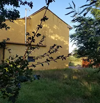 Foto annuncio 6