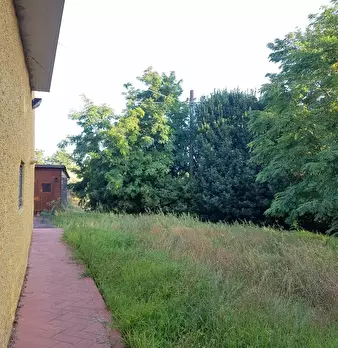 Foto annuncio 8