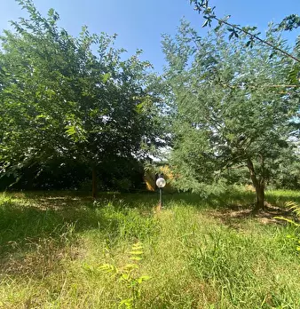 Foto annuncio 13