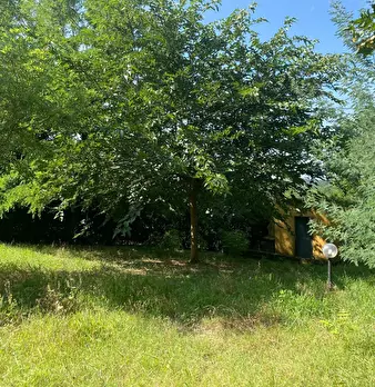 Foto annuncio 12