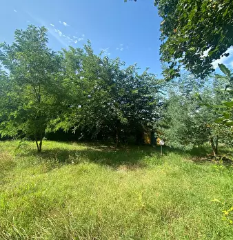 Foto annuncio 11