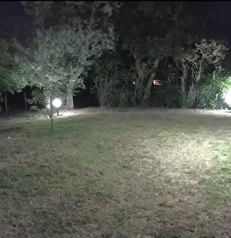 Foto annuncio 24