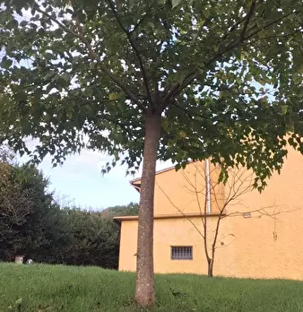 Foto annuncio 29