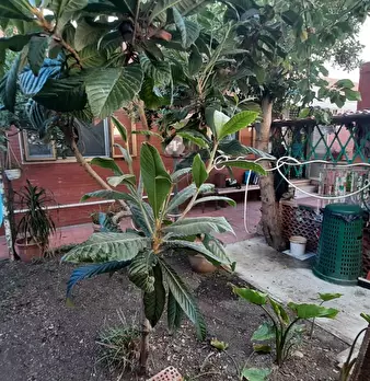 Foto annuncio 31