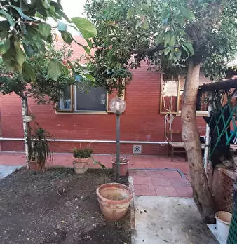 Foto annuncio 30