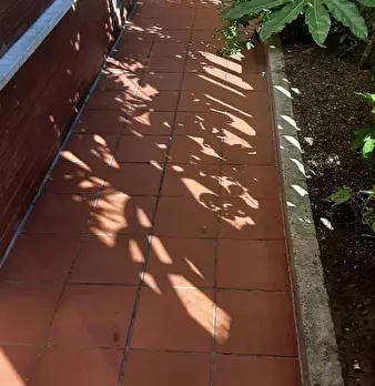 Foto annuncio 34
