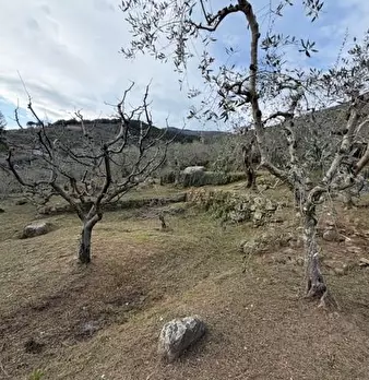 Foto annuncio 13