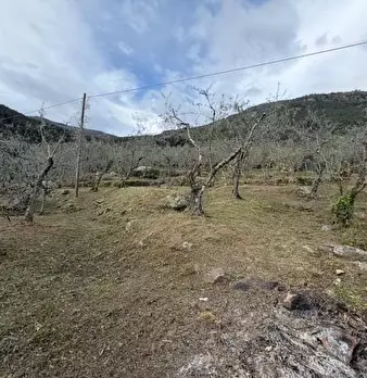 Foto annuncio 12