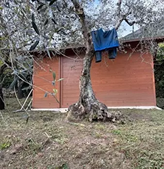 Foto annuncio 22